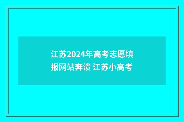 江苏2024年高考志愿填报网站奔溃 江苏小高考