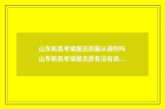 山东新高考填报志愿服从调剂吗 山东新高考填报志愿有没有调剂