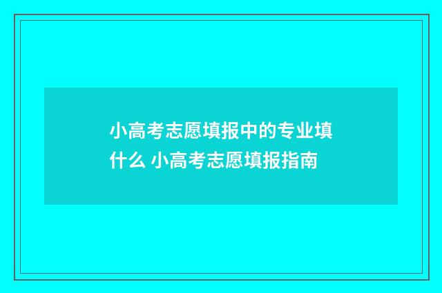 小高考志愿填报中的专业填什么 小高考志愿填报指南