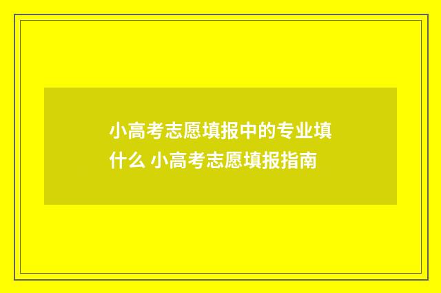 小高考志愿填报中的专业填什么 小高考志愿填报指南