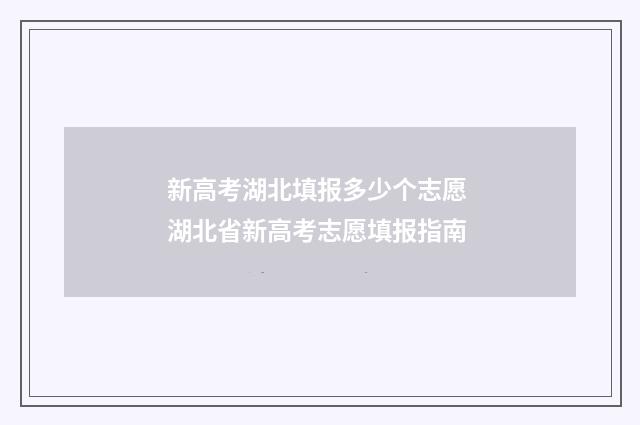 新高考湖北填报多少个志愿 湖北省新高考志愿填报指南