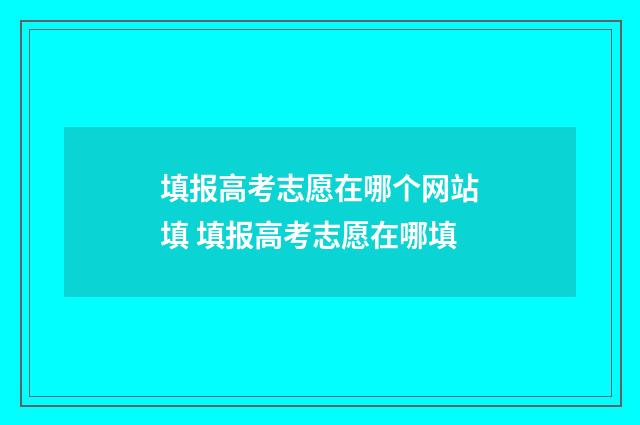 填报高考志愿在哪个网站填 填报高考志愿在哪填