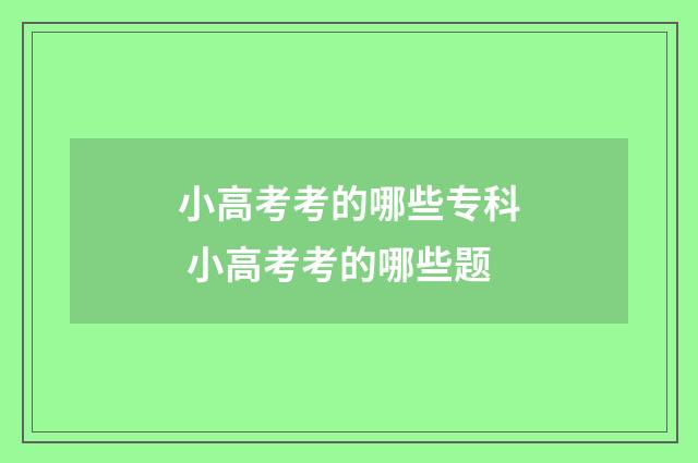 小高考考的哪些专科 小高考考的哪些题