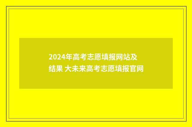 2024年高考志愿填报网站及结果 大未来高考志愿填报官网