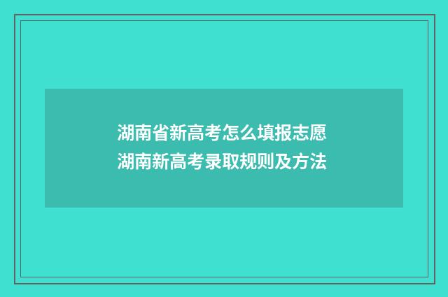 湖南省新高考怎么填报志愿 湖南新高考录取规则及方法