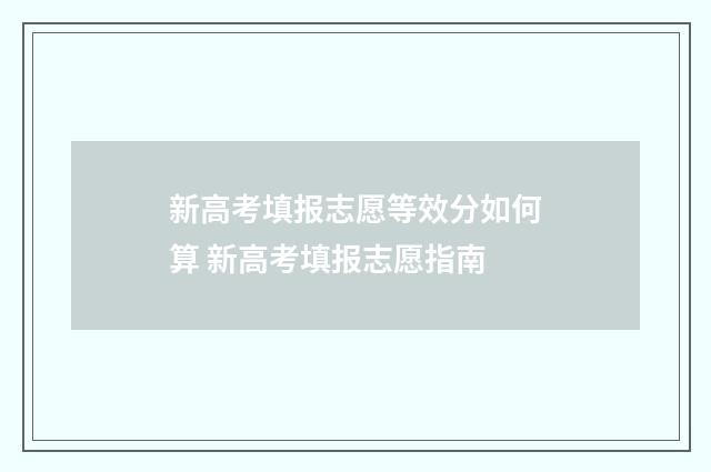 新高考填报志愿等效分如何算 新高考填报志愿指南