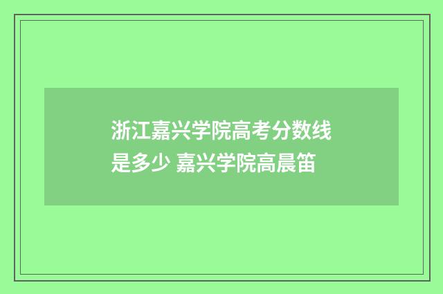 浙江嘉兴学院高考分数线是多少 嘉兴学院高晨笛