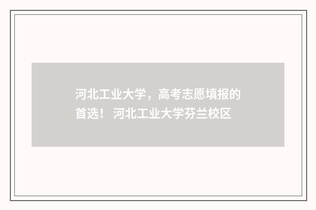 河北工业大学，高考志愿填报的首选！ 河北工业大学芬兰校区