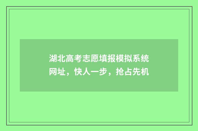 湖北高考志愿填报模拟系统网址，快人一步，抢占先机