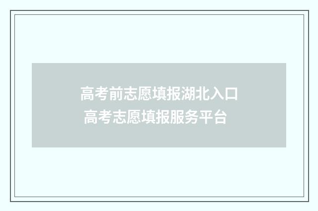 高考前志愿填报湖北入口 高考志愿填报服务平台