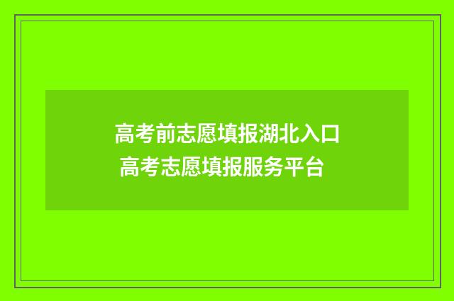 高考前志愿填报湖北入口 高考志愿填报服务平台