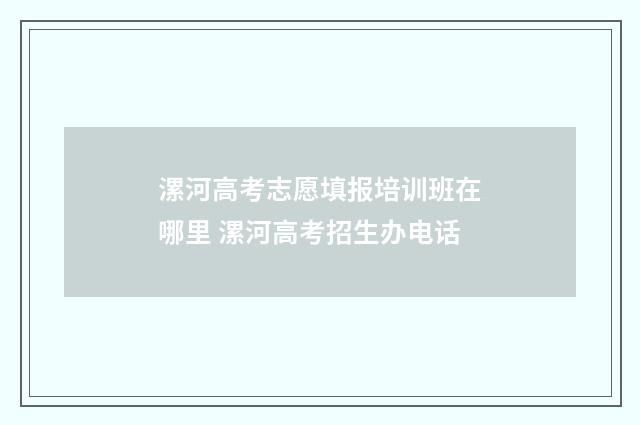 漯河高考志愿填报培训班在哪里 漯河高考招生办电话