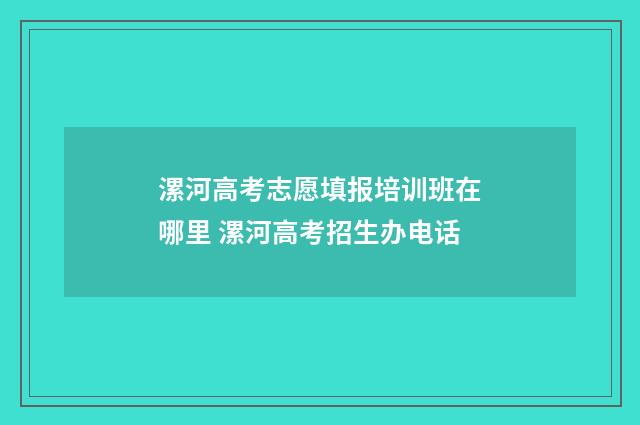 漯河高考志愿填报培训班在哪里 漯河高考招生办电话