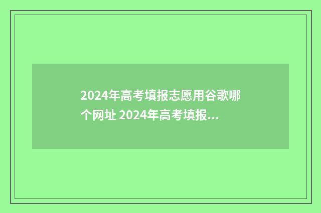 2024年高考填报志愿用谷歌哪个网址 2024年高考填报指南
