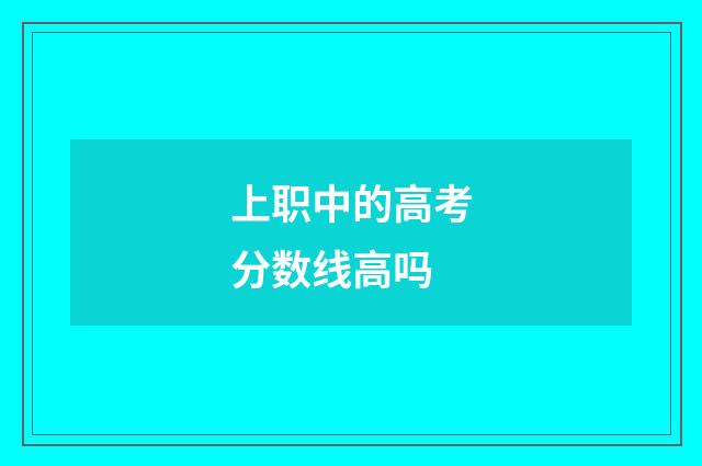 上职中的高考分数线高吗