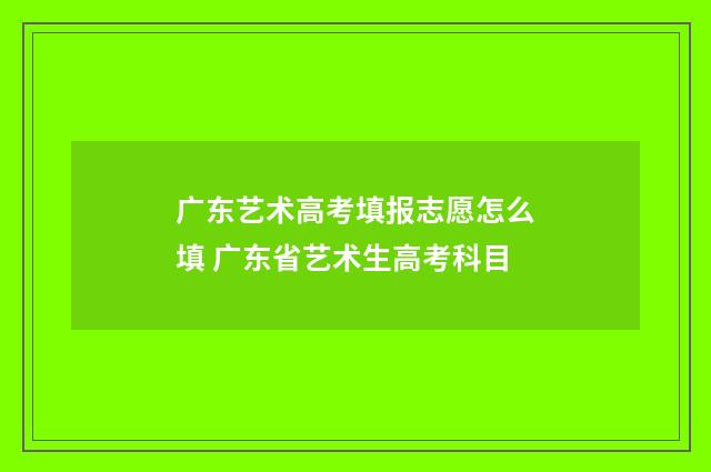 广东艺术高考填报志愿怎么填 广东省艺术生高考科目