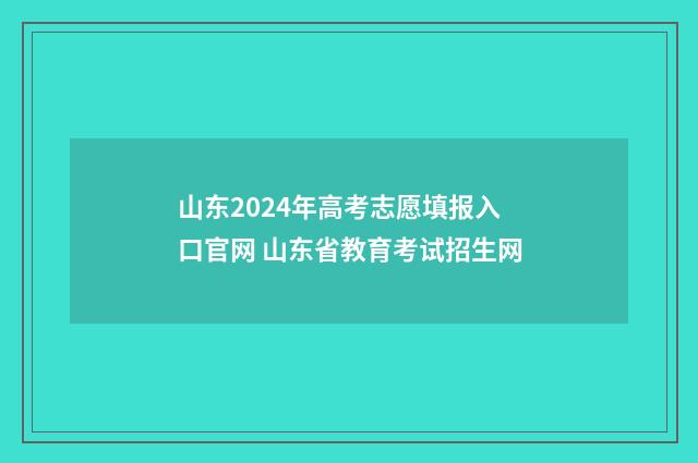 山东2024年高考志愿填报入口官网 山东省教育考试招生网