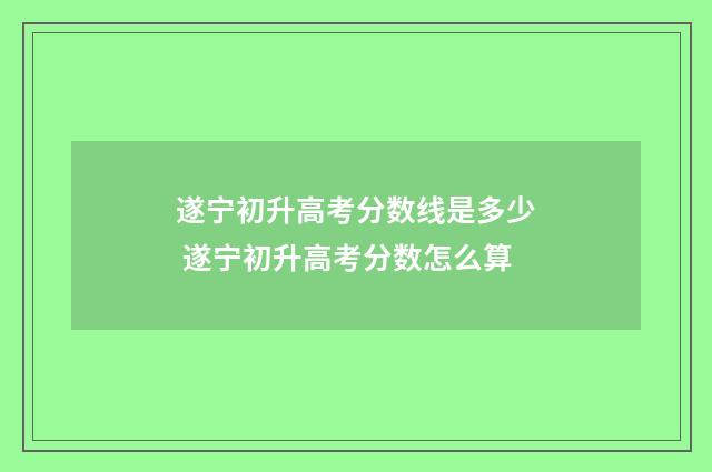 遂宁初升高考分数线是多少 遂宁初升高考分数怎么算
