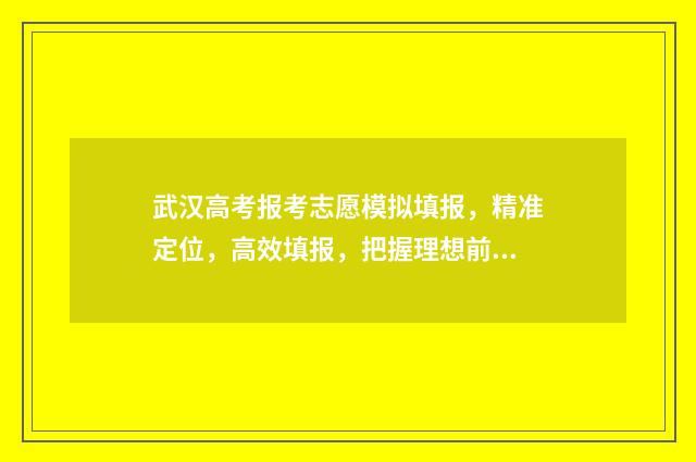 武汉高考报考志愿模拟填报，精准定位，高效填报，把握理想前程 武汉市 高考