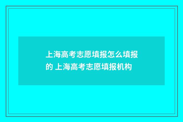 上海高考志愿填报怎么填报的 上海高考志愿填报机构