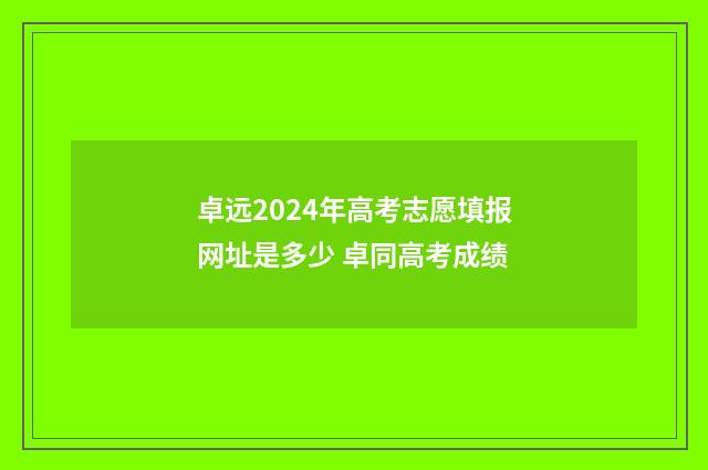 卓远2024年高考志愿填报网址是多少 卓同高考成绩