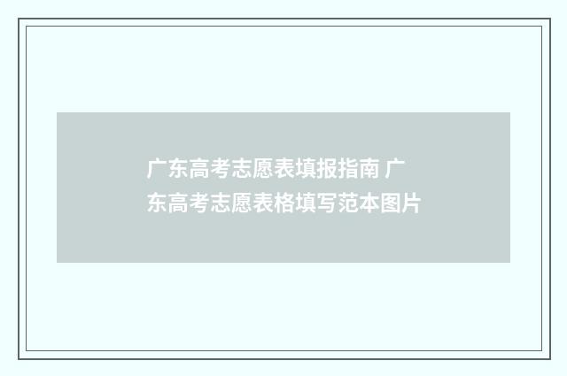 广东高考志愿表填报指南 广东高考志愿表格填写范本图片