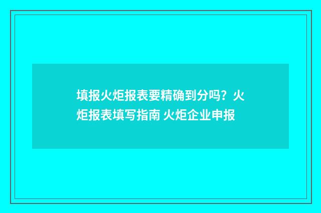 填报火炬报表要精确到分吗？火炬报表填写指南 火炬企业申报