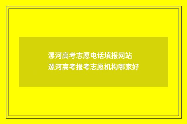 漯河高考志愿电话填报网站 漯河高考报考志愿机构哪家好