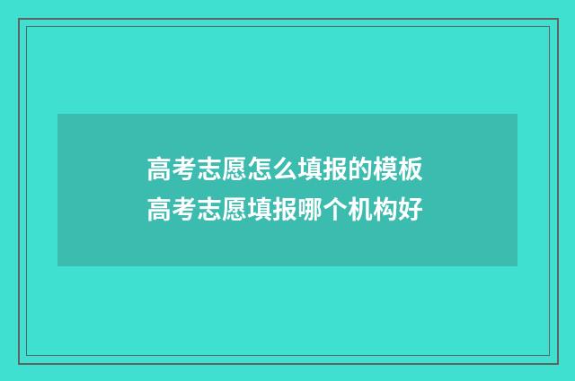 高考志愿怎么填报的模板 高考志愿填报哪个机构好