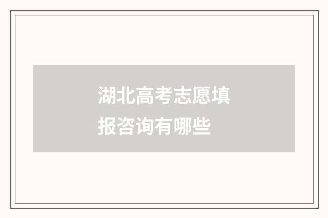 湖北高考志愿填报咨询有哪些