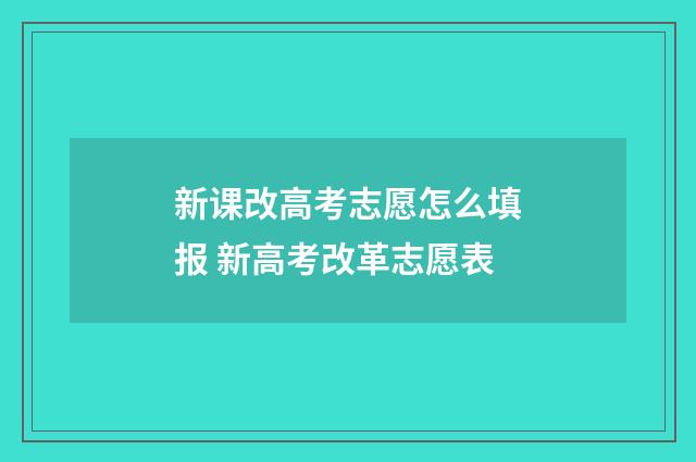 新课改高考志愿怎么填报 新高考改革志愿表