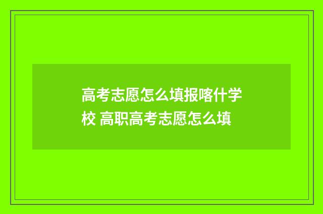 高考志愿怎么填报喀什学校 高职高考志愿怎么填