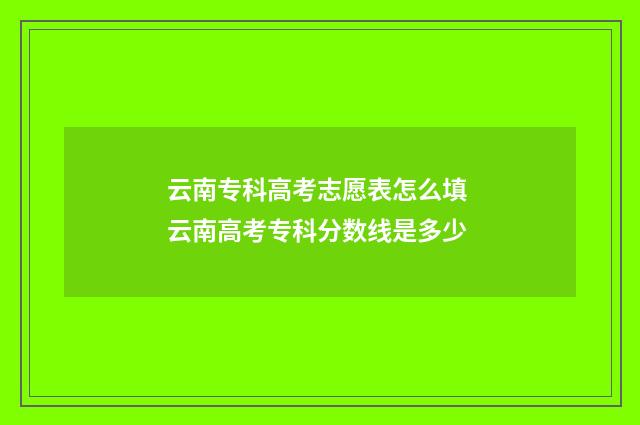 云南专科高考志愿表怎么填 云南高考专科分数线是多少