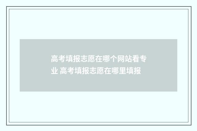 高考填报志愿在哪个网站看专业 高考填报志愿在哪里填报