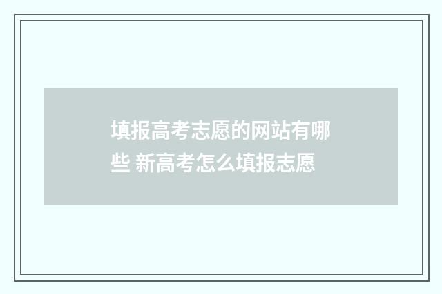 填报高考志愿的网站有哪些 新高考怎么填报志愿