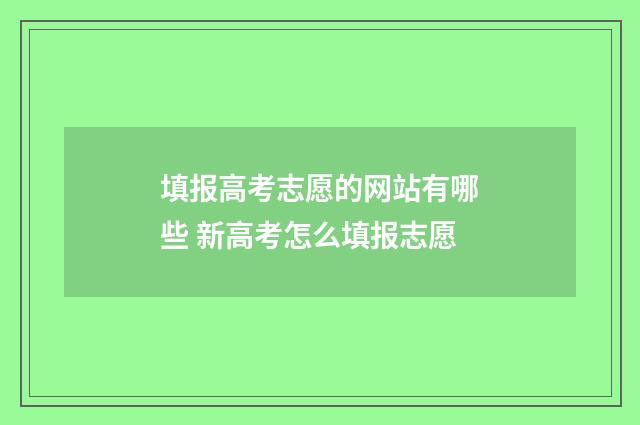 填报高考志愿的网站有哪些 新高考怎么填报志愿