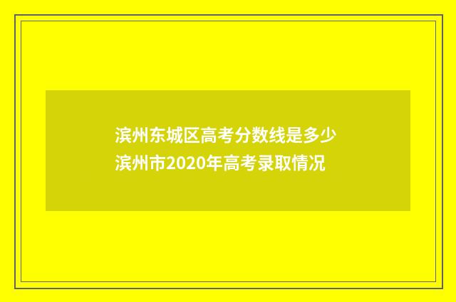 滨州东城区高考分数线是多少 滨州市2020年高考录取情况