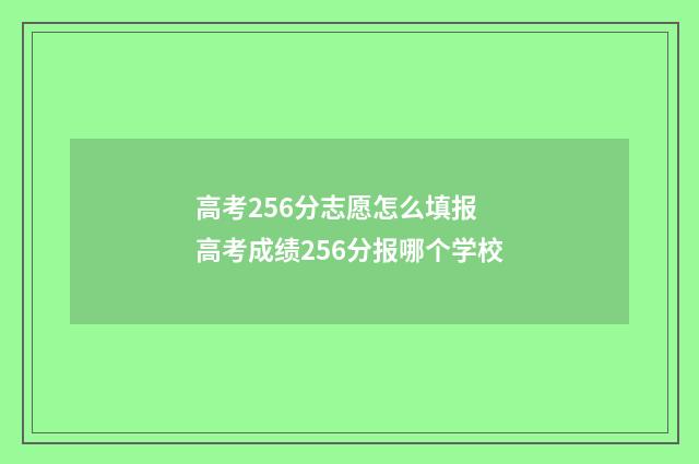 高考256分志愿怎么填报 高考成绩256分报哪个学校