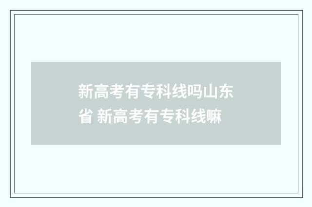 新高考有专科线吗山东省 新高考有专科线嘛