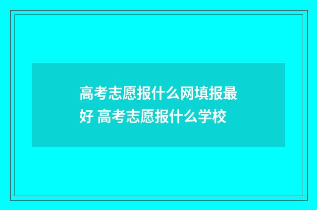 高考志愿报什么网填报最好 高考志愿报什么学校