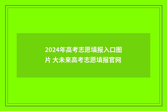 2024年高考志愿填报入口图片 大未来高考志愿填报官网
