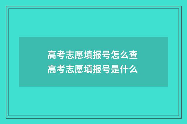 高考志愿填报号怎么查 高考志愿填报号是什么