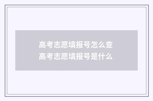高考志愿填报号怎么查 高考志愿填报号是什么