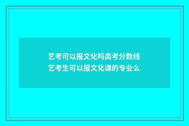 艺考可以报文化吗高考分数线 艺考生可以报文化课的专业么