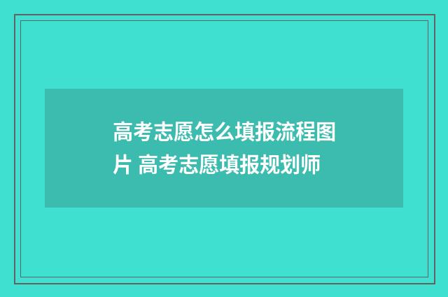 高考志愿怎么填报流程图片 高考志愿填报规划师