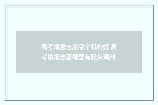 高考填报志愿哪个机构好 高考填报志愿哪里有服从调剂