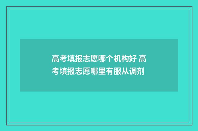 高考填报志愿哪个机构好 高考填报志愿哪里有服从调剂