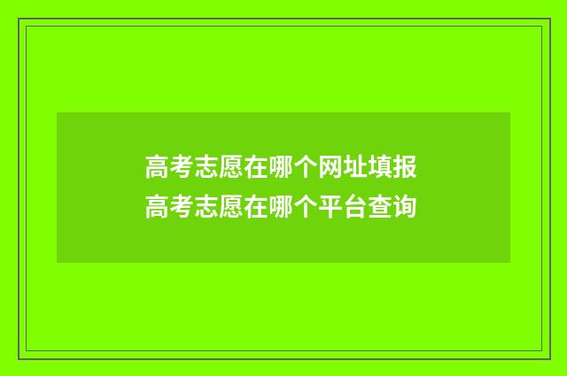 高考志愿在哪个网址填报 高考志愿在哪个平台查询