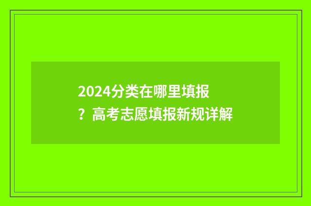 2024分类在哪里填报？高考志愿填报新规详解