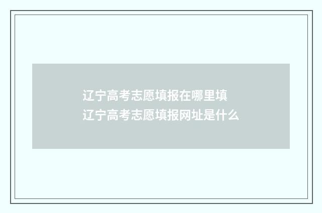 辽宁高考志愿填报在哪里填 辽宁高考志愿填报网址是什么